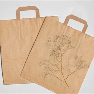 أكياس التجارة الإلكترونية