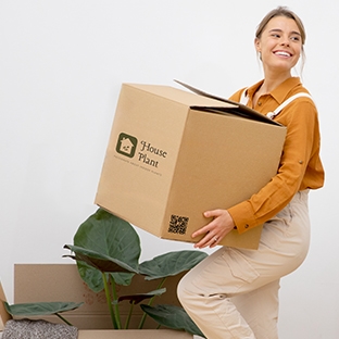 صناديق الشحن