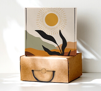 E-commerce Carry Box